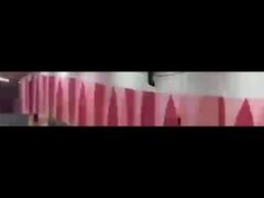 Systeem 4800bps/100m van het voertuiglpr Parkeren voor Wegveiligheid